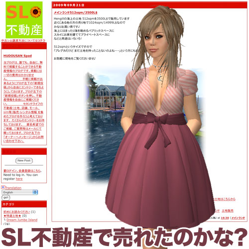SL不動産で土地売れるかな?