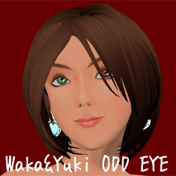 WAKA&YUKI ODD EYE