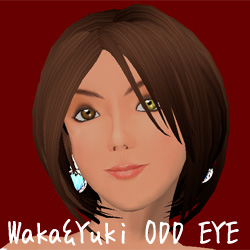 WAKA&YUKI ODD EYE