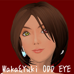 WAKA&YUKI ODD EYE