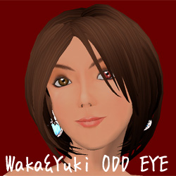 WAKA&YUKI ODD EYE