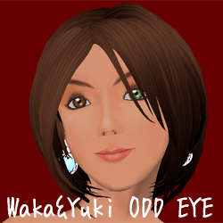 WAKA&YUKI ODD EYE