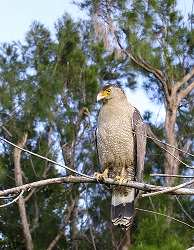 img20050213.jpg