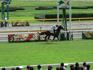 新馬戦 サンマルティン ゴール前
