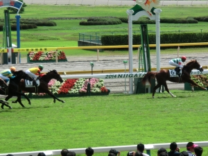 サンマルティン 2着馬との差