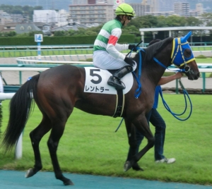 レントラー 本馬場入場 2歳未勝利戦