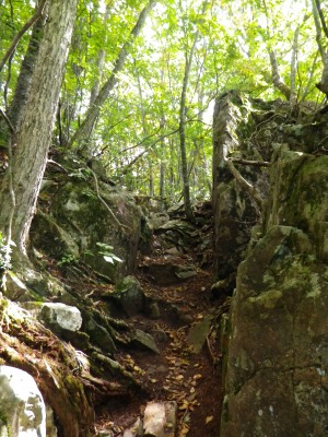 2014.09.三頭山