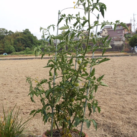 DCIM0623.jpg