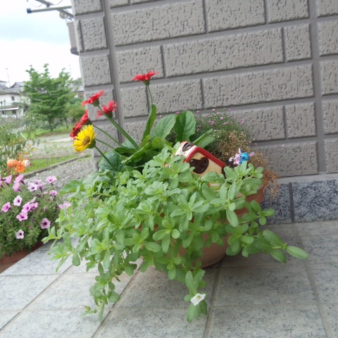 DCIM0684.jpg