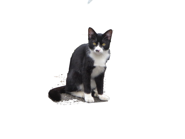 1111.jpg