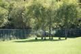 DSC07748.jpg