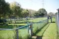 DSC07828.jpg