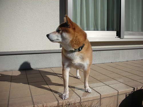 こっち見て~
