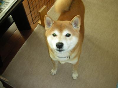 みなさまっ