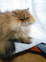 20120402001