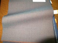 玉虫色の服地でコートもいいですね