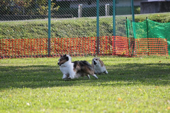 10IMG_0780.jpg