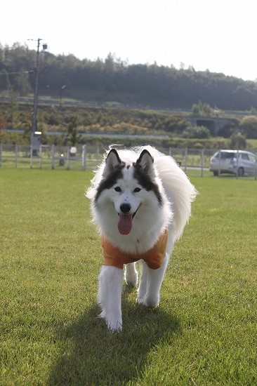 10IMG_0891.jpg