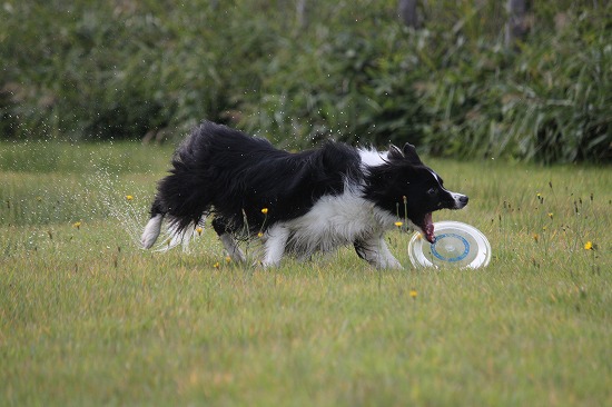 10IMG_0952.jpg