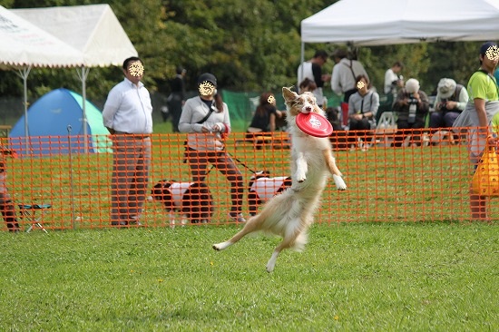 13IMG_1691.jpg