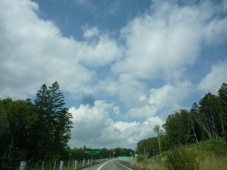 16P1160809.jpg