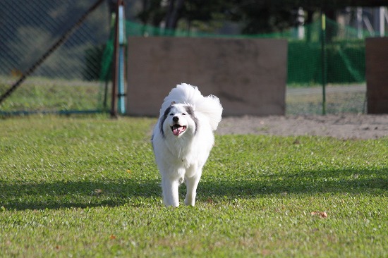 17IMG_0789.jpg