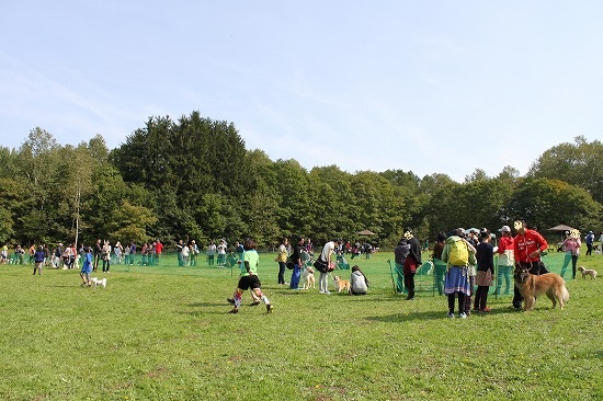1IMG_1630.jpg