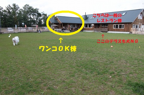 1IMG_1780.jpg