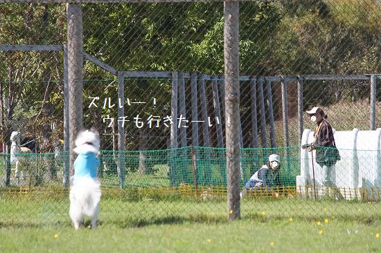 32IMG_1303.jpg