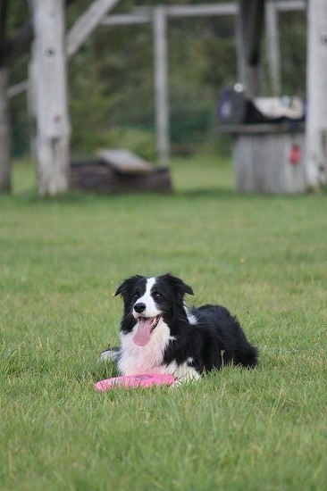 34IMG_1059.jpg