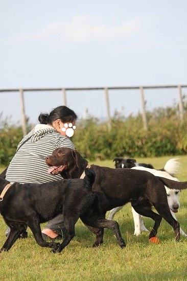 36IMG_1080.jpg