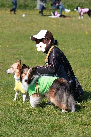 37IMG_1466.jpg