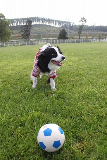 7IMG_0876.jpg