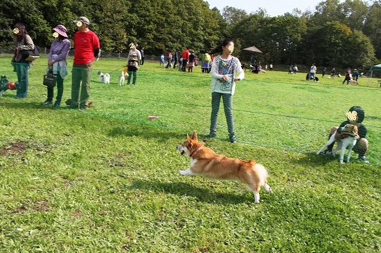 7IMG_1641.jpg