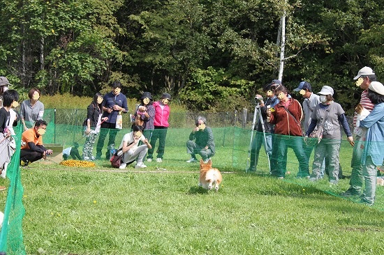 8IMG_1646.jpg