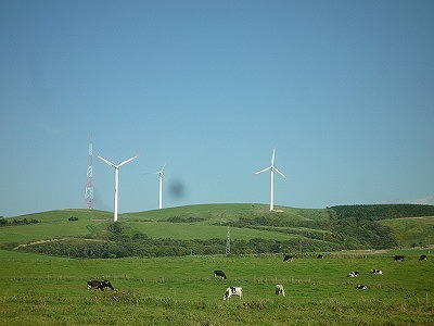 93P1160872.jpg