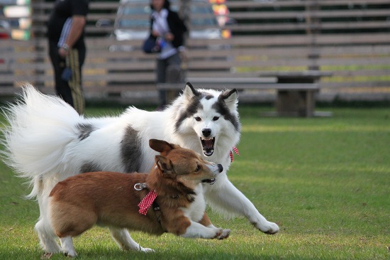 IMG_1868.jpg