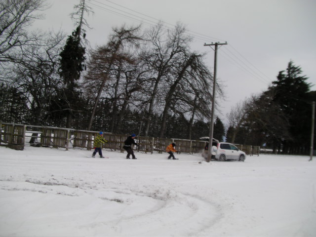 nz2011aug18 026