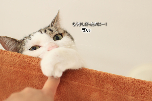 20110825-1.jpg