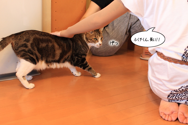 20110825-10.jpg
