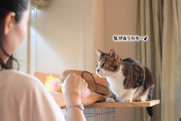 20110825-12.jpg