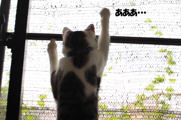 20110825-4.jpg