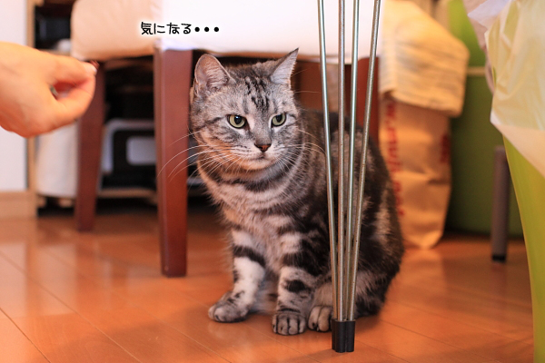 20110825-8.jpg