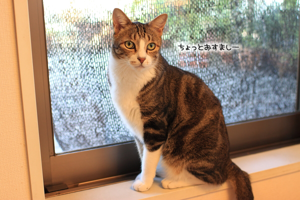 20110825-9.jpg