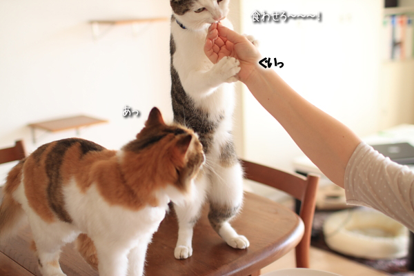 20110828-1.jpg
