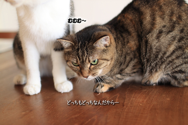 20110828-2.jpg