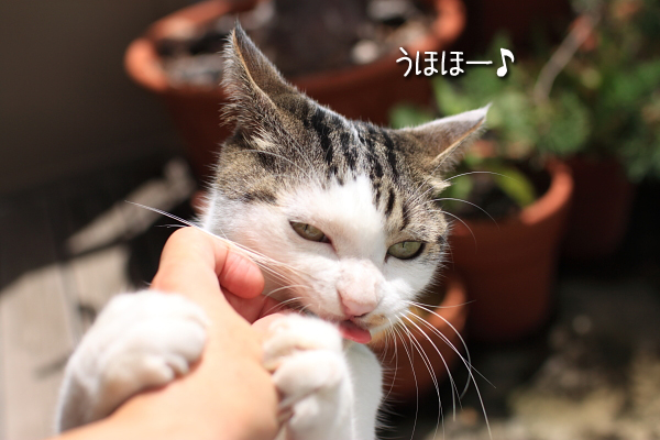 20110828-8.jpg