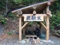 金山炭酸水井戸