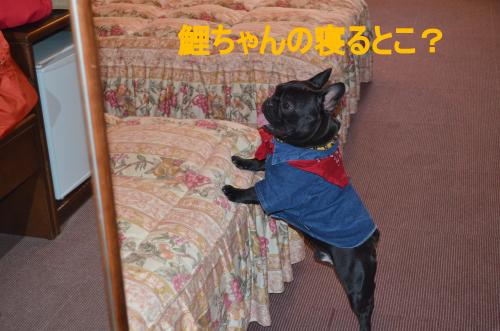 繝帙ユ繝ォ縺ァ魃峨■繧・s_convert_20130506234044
