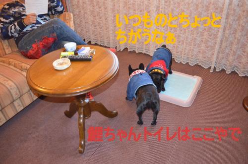 繝帙ユ繝ォ縺ァ遖城ッ雲convert_20130506234855